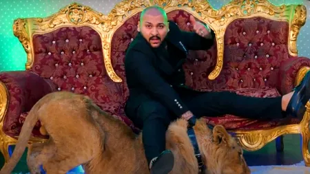 Dani Mocanu, cercetat penal pentru schingiuirea animalelor. A fost deja adus, la Poliție, pentru audieri!