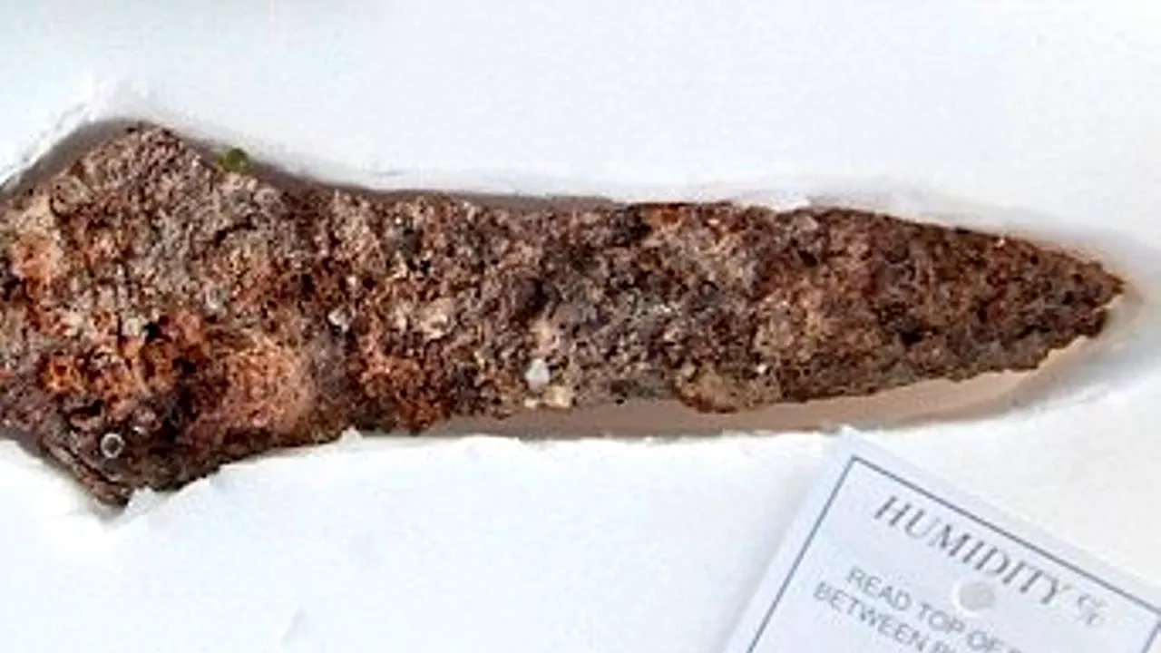 Descoperirea care ar putea schimba ceea ce știm despre ocupațiile femeilor din preistorie