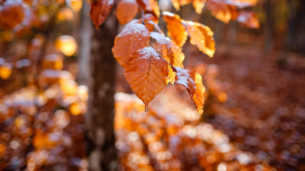 În ce zi vine frigul în România, potrivit ANM. Prognoza meteo pentru vineri, sâmbătă și dumincă