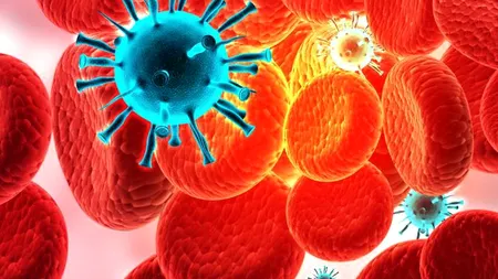 Descoperire uimitoare: Virusul HIV, folosit cu succes în tratarea unei maladii letale a sistemului imunitar