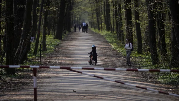 Corpul de Control al Ministerului Mediului vrea sesizarea justiției după verificările privind drumul forestier Băneasa. Care sunt motivele