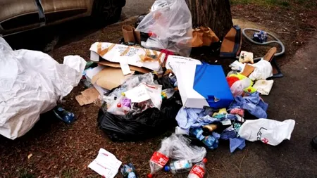 Amendă URIAȘĂ pentru gunoi aruncat în centrul Timișoarei. Cine era, de fapt, bărbatul „certat” cu bunul simț