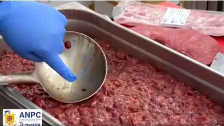 „S-au găsit gândaci și carne de vită depozitată cu muște și larve”. ANPC a oprit temporar activitatea unor restaurante chinezești și a dat amenzi