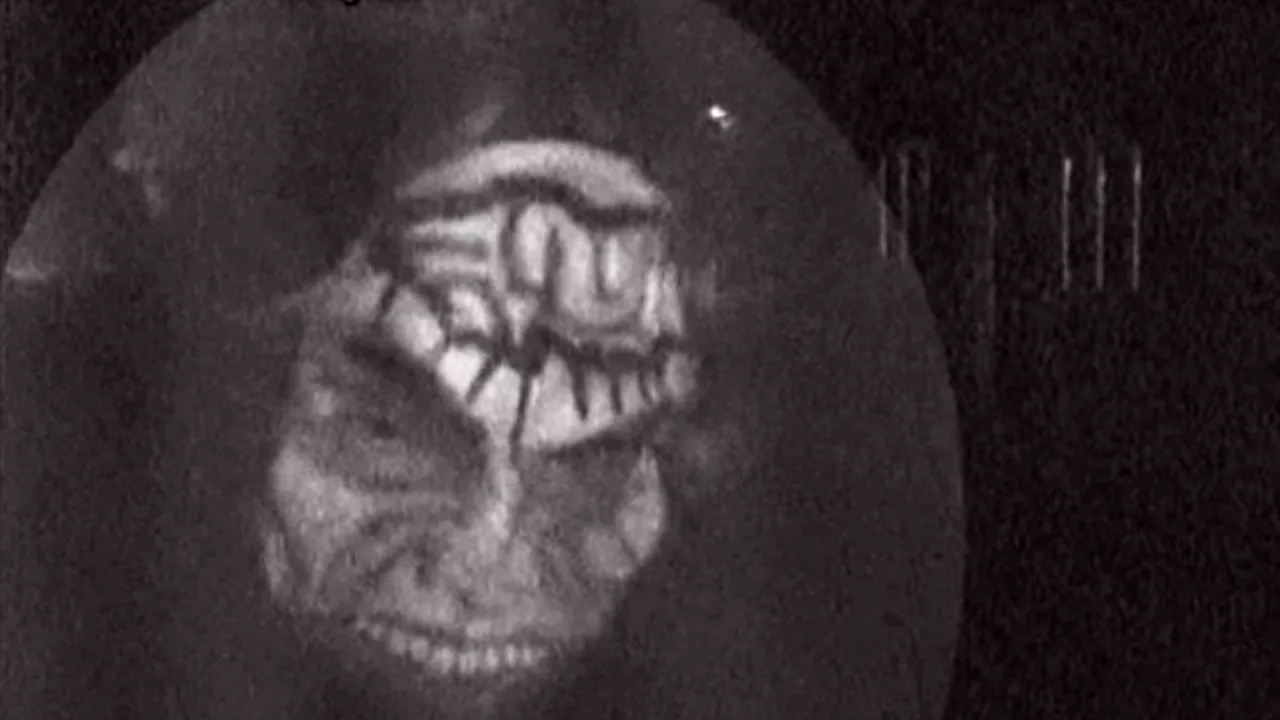 Cum a devenit casa unor bătrâni ținta piromanilor. Imaginile ultimului atac. FOTO și VIDEO