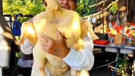 Un curcan uriaș cât un STRUȚ stârnește controverse pe rețelele sociale