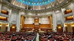 „Execuție” publică în Parlament. Senatorul care a votat pro-Bolojan, exclus din partid
