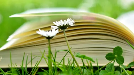 Educația pentru mediu în România, o provocare deschisă: ”Nivelul scăzut de educație științifică crește vulnerabilitatea față de dezinformare”