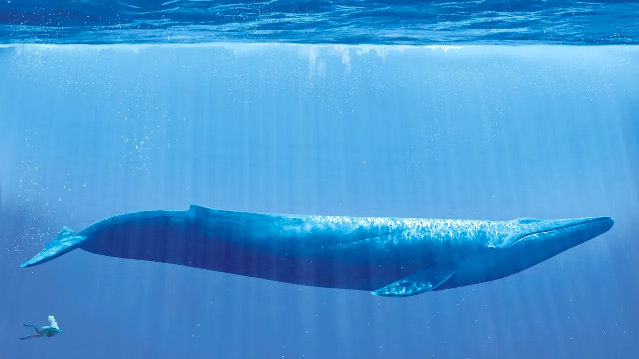 Anchetă la o școală din Botoșani după ce un elev a recunoscut că se juca 