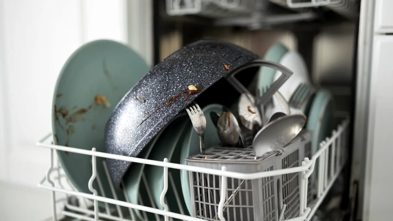 Apa maro din mașina de spălat vase a uimit internetul: „Frate, cred că ai conectat-o la fosa septică”