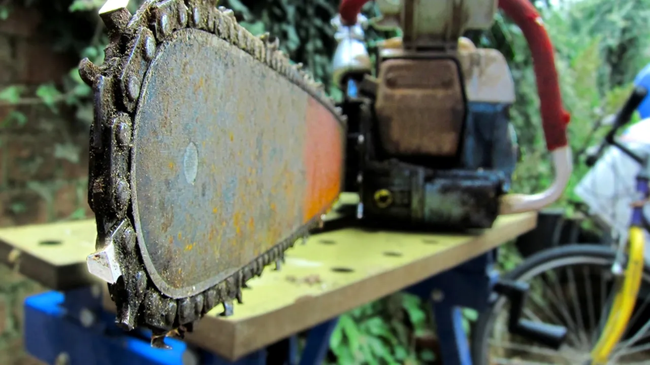 Luptă cu drujba într-o familie din Botoșani. 