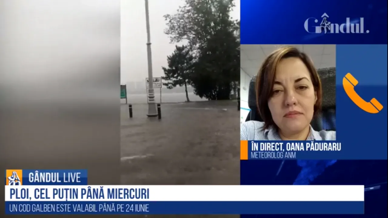 oana păduraru 
