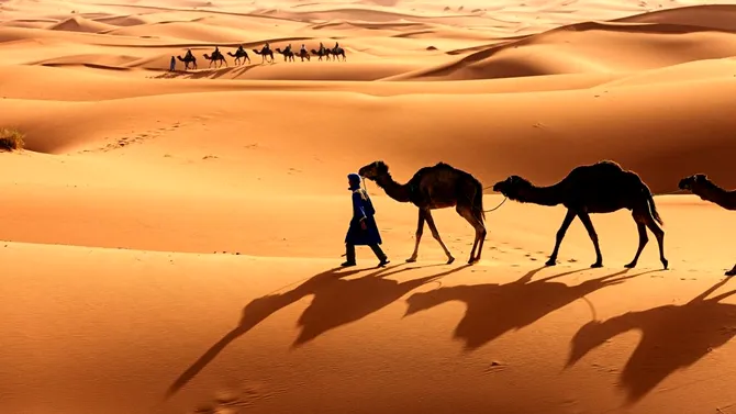 A fost găsit „locul unde cămilele se tem să meargă”. Este descris ca un „deșert în interiorul unui deșert”, iar peisajul este înfiorător