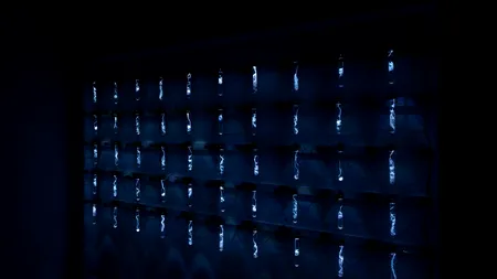 INTERVIU – Floriama Cândea, despre misterioasa „Uncanny Order” de la București și conceptele specifice științei folosite în artă