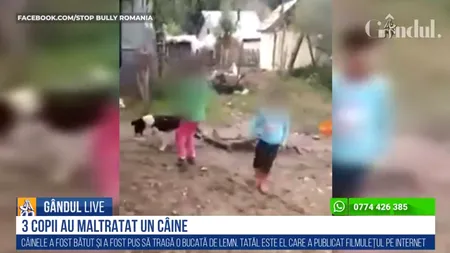 GÂNDUL LIVE. Cruzime fără margini în Argeș: Trei copii chinuie un câine, iar tatăl lor filmează totul - VIDEO