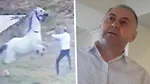 Ies la iveală informații cumplite din trecutul lui Fănel Bogos, în dosarul căruia a fost pusă sub acuzare Cristina Trăilă. Afaceristul a torturat un cal până la moarte. Polițiștii au descris scenele ca fiind „de o brutalitate ieșită din comun”