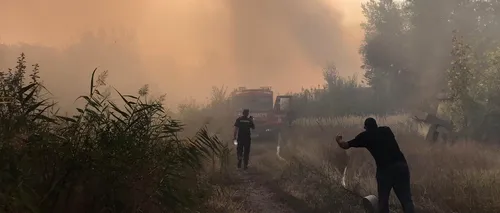Incendiu de vegetație uscată în Iași. Ard 150 de hectare