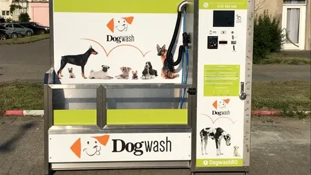 Al doilea automat pentru spălat câini din România, montat într-un oraș din vestul țării