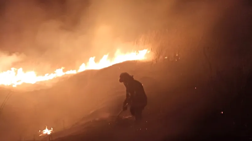 FOTO| Incendiu de amploare în Tulcea. Au ars 15 hectare de vegetație. Focul a fost pus intenționat