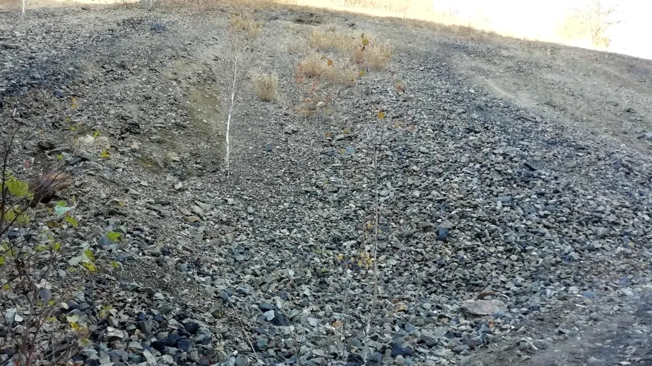 Drumurile noastre toate. Piatra de calitate, tot mai greu de exploatat. Un specialist dezvăluie cercul vicios al drumurilor proaste din România: „De aceea, nu țin!