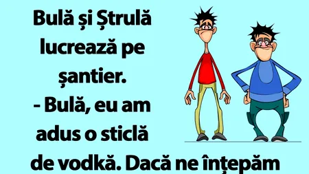 BANC | Bulă și Ștrulă lucrează pe șantier