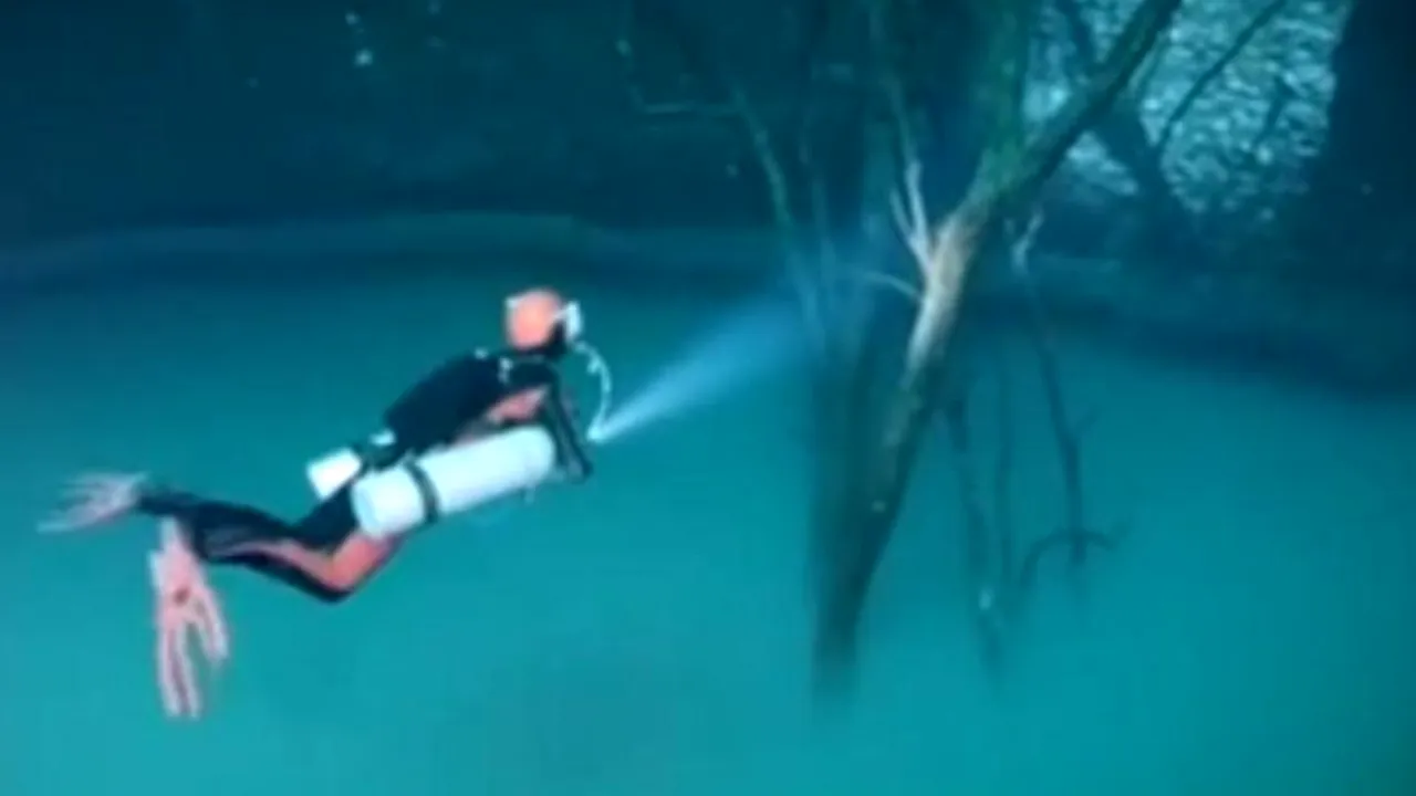 VIDEO. Imagine spectaculoasă pe fundul unui crov din Mexic. Ce au descoperit scafandrii