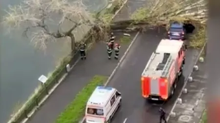 Vremea rea face ravagii! Un copac a căzut pe o mașină aflată în mișcare, pe Splaiul Unirii din București