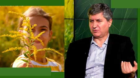 Prof. univ. dr. Robert Ancuceanu explică de ce AMBROZIA produce alergie: „Nu este o specie europeană, organismul nostru nu este învățat cu ea”