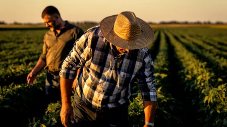 Vești bune pentru fermieri, în prag de Crăciun. Serele și solariile nu vor fi impozitate