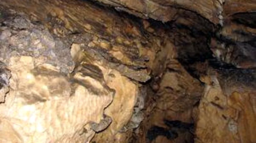 Primele cercetări speologice în Peștera lui Terente. Nimeni n-a mai intrat în ea de 30 de ani