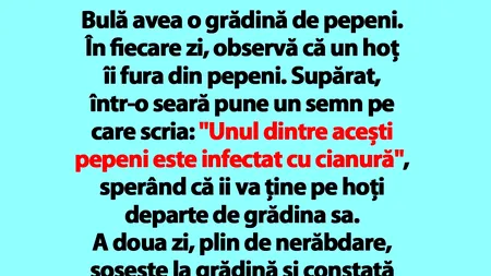 BANC | Bulă avea o grădină de pepeni. În fiecare zi, observă că un hoț îi fura câte unul