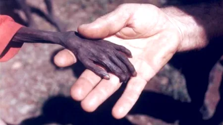 GALERIE FOTO. Unele din cele mai impresionante imagini din ultimul secol