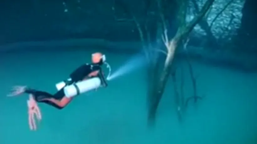 VIDEO. Imagine spectaculoasă pe fundul unui crov din Mexic. Ce au descoperit scafandrii