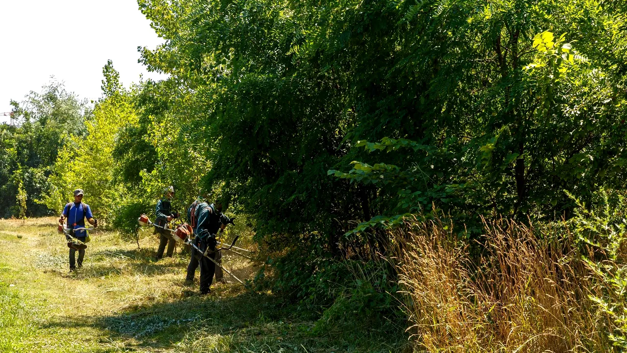 Zeci de beneficiari de venit minim garantat, apți de muncă, obligați să curețe parcurile și piețele din Cluj. Ce se întâmplă dacă refuză