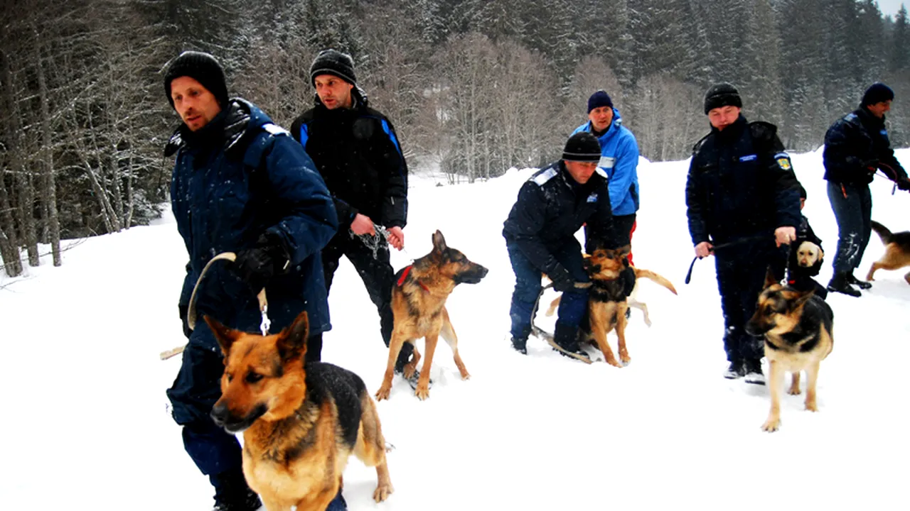 Drapelul național, arborat de 1 Decembrie de jandarmi montani și un salvamontist în Parângul Mare