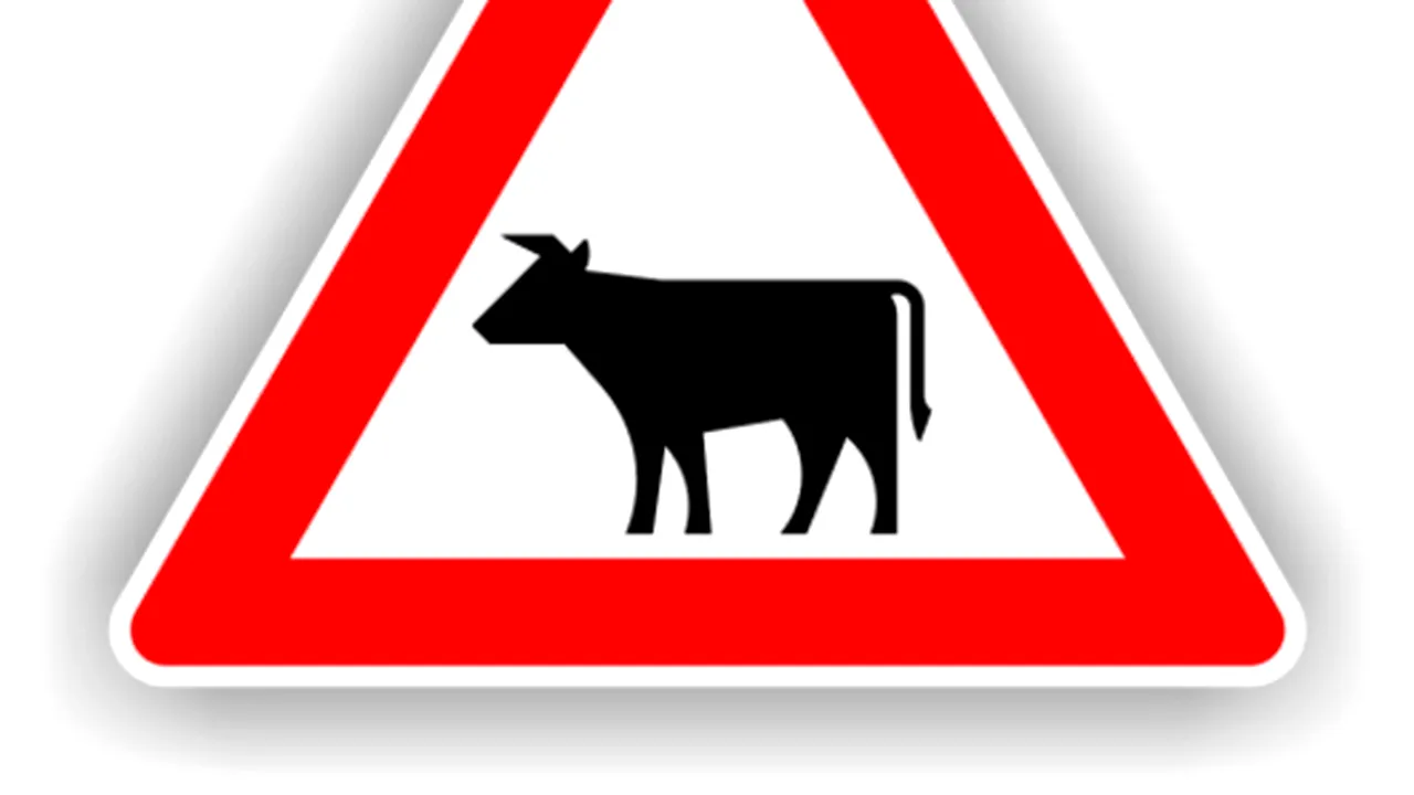 Teste auto: Indicatorul 