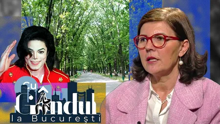 VIDEO EXCLUSIV | Aleea Michael Jackson din București a intrat în „vizorul” autorităților. Corina Bega, director ALPAB: „Vom lansa o primă comandă pentru reparația ei”