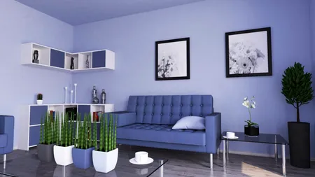 (P) Culoarea ca semnătură personală: descoperă Sikkens și Dulux, brandurile care transformă locuința într-un spațiu statement
