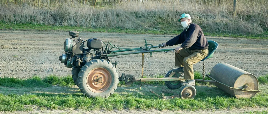 SECETA BATE CORONAVIRUSUL. Producătorii agricoli din zonele de estul și sud-estul României resimt din plin efectele lipsei de apă. Câte ferme vor adopta măsuri defensive