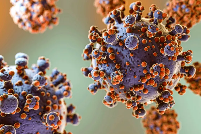 Virus - Foto: Freepik.com - Imagine cu rol ilustrativ
