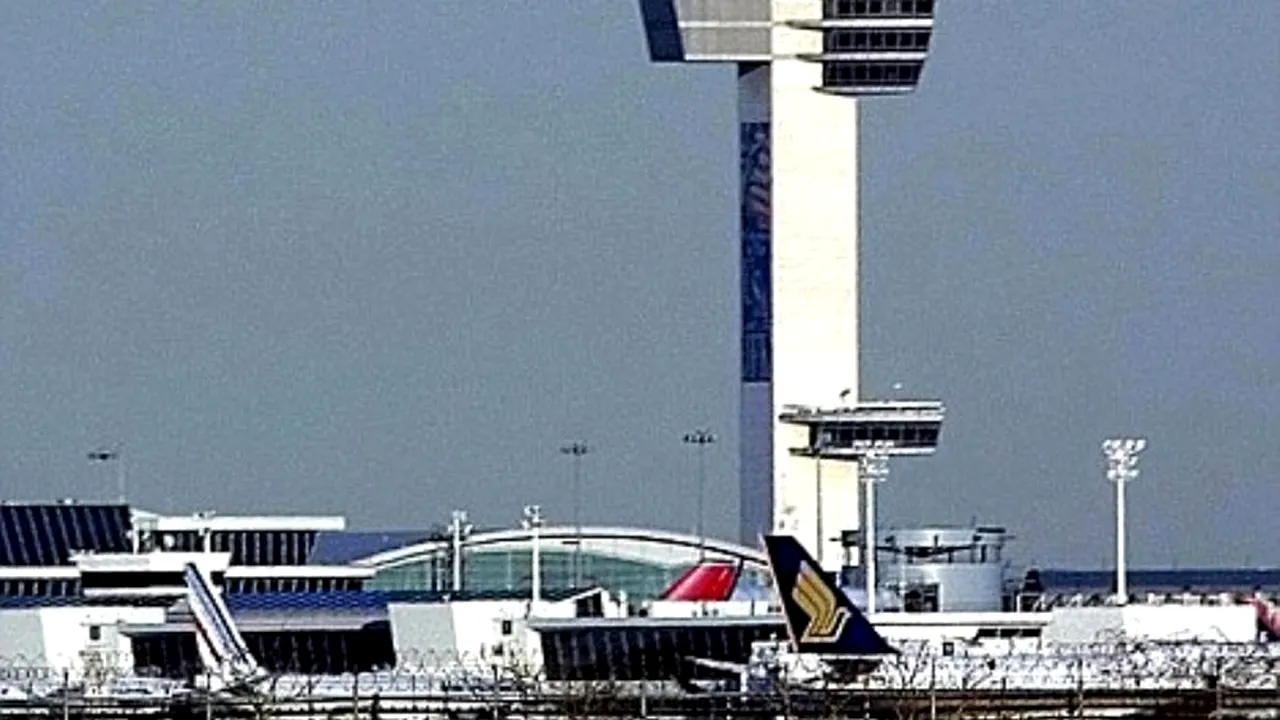 O cursă aeriană a avut o întârziere de 4 ore din cauza unei maimuțe