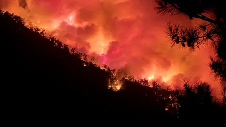 Grecia: INCENDIU puternic în Thasos. Mărturia unui român aflat în vacanță în insulă: „A fost foarte intens și înfricoșător”