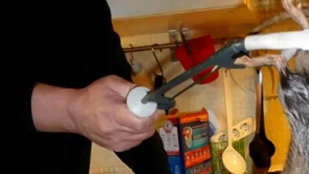 Ce au descoperit doi soți în bucătărie. 