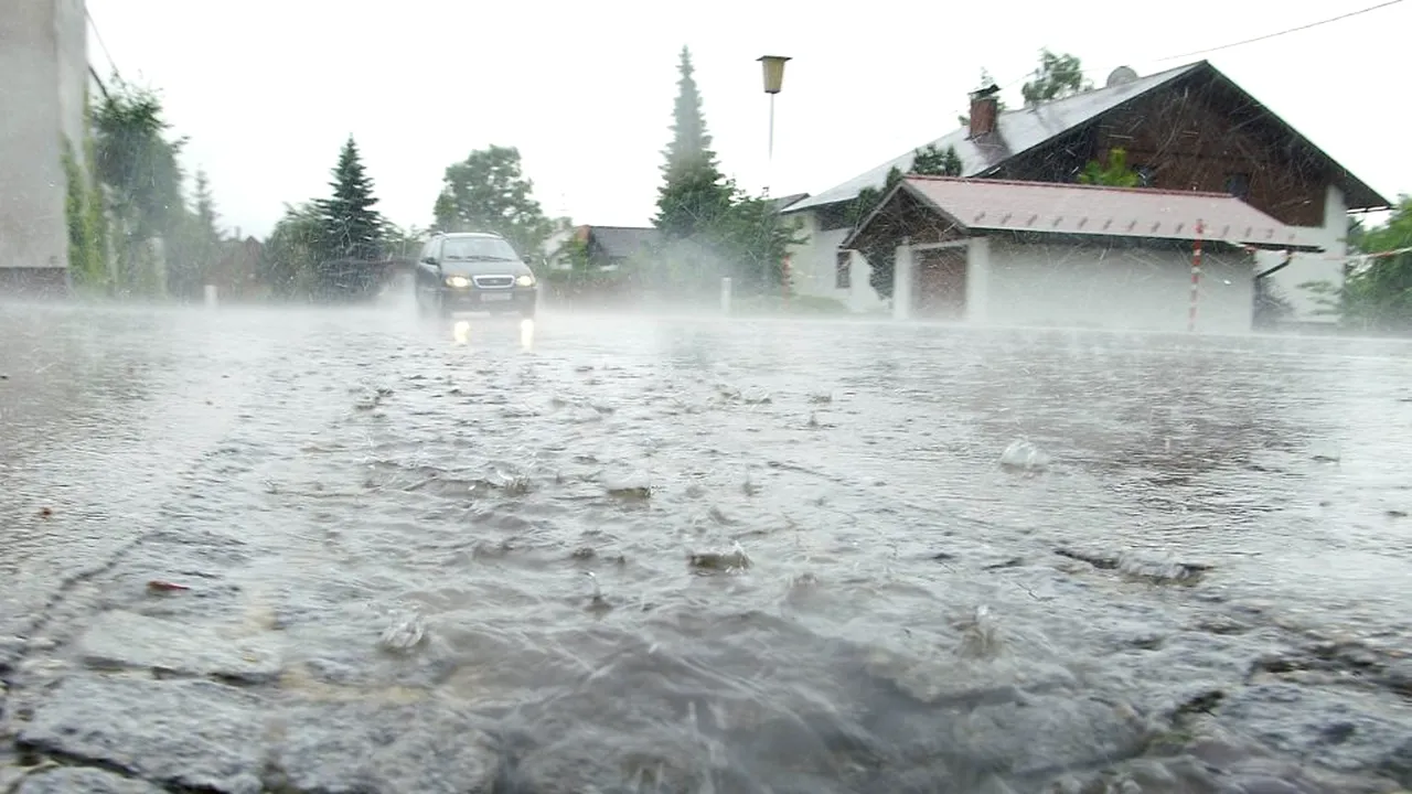 Alertă în Buzău, unde acoperișul unei ferme a căzut peste 150 de oi, din cauza vântului puternic