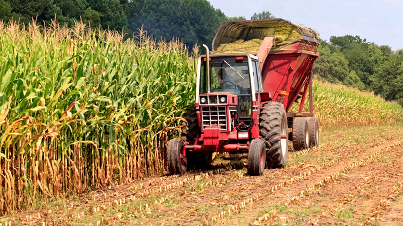 Agenția de Plăți și Intervenție pentru Agricultură a autorizat plata a 715 milioane de euro către 517.928 fermieri