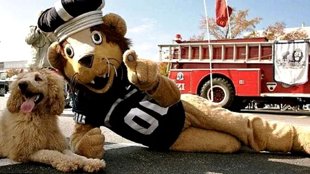 VIDEO. Cum s-a transformat un câine în leu