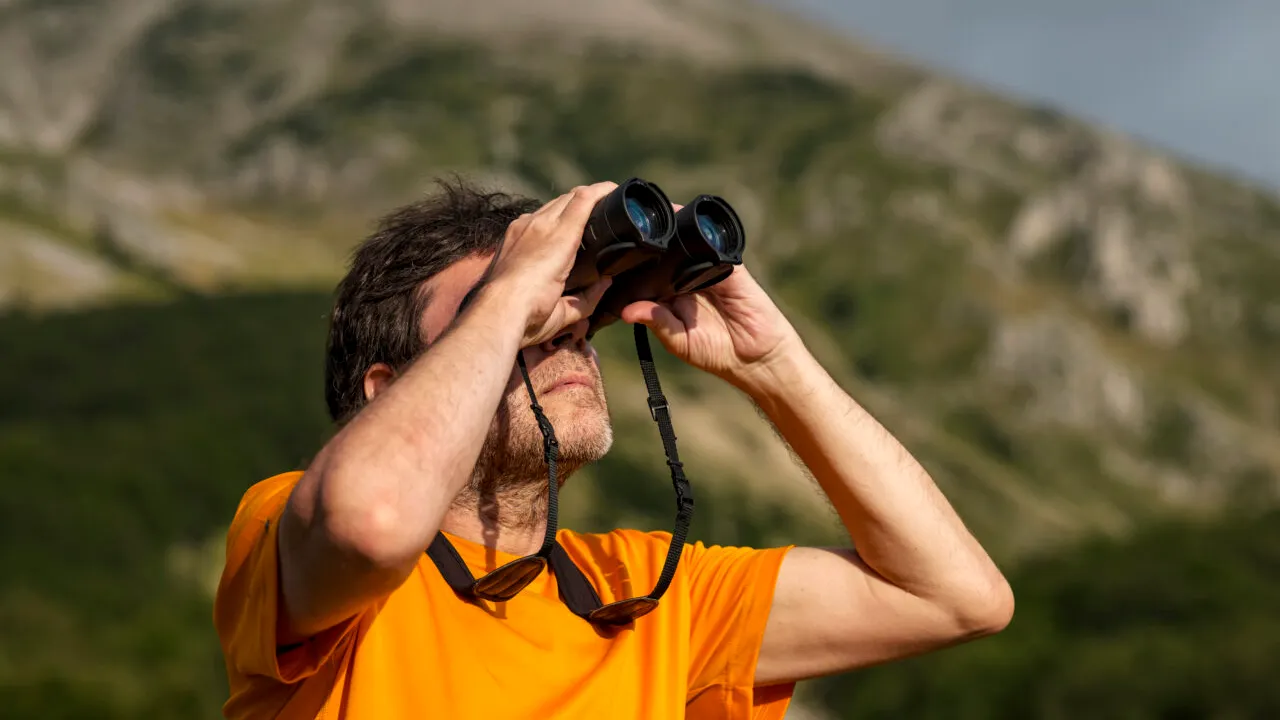 Specie extrem de RARĂ, surprinsă în România. Mulți au crezut că este un mutant