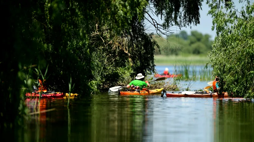 Delta Dunării, destinația preferată a românilor pentru excursii de o zi/ Cât costă o evadare-fulger din cotidian în „paradisul păsărilor” (FOTOREPORTAJ)
