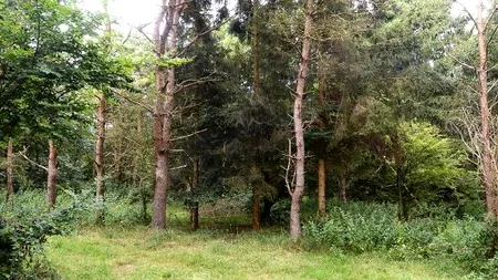 Șase soldați sunt ascunși în această fotografie devenită virală pe internet. Poți să-i găsești? 