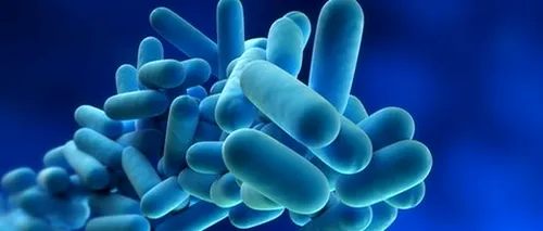 Locul prin care pătrund cele mai multe bacterii în organism