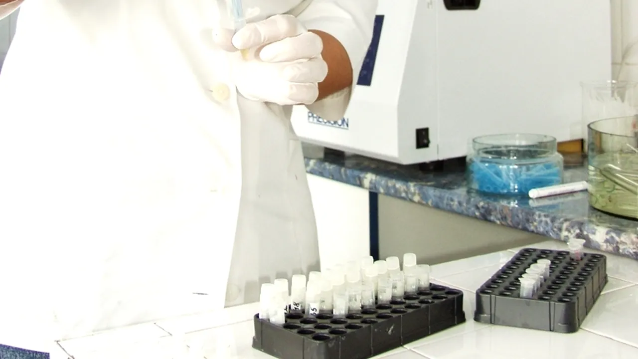 Șapte cazuri de boala Lyme, confirmate în România